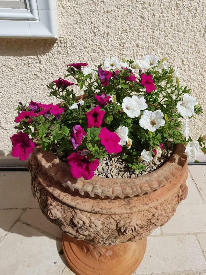 Trullo Villa Giulia Μαρτίνα Φράνκα Εξωτερικό φωτογραφία
